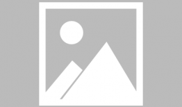 91直播梦幻西游,探寻虚拟世界的奇幻之旅